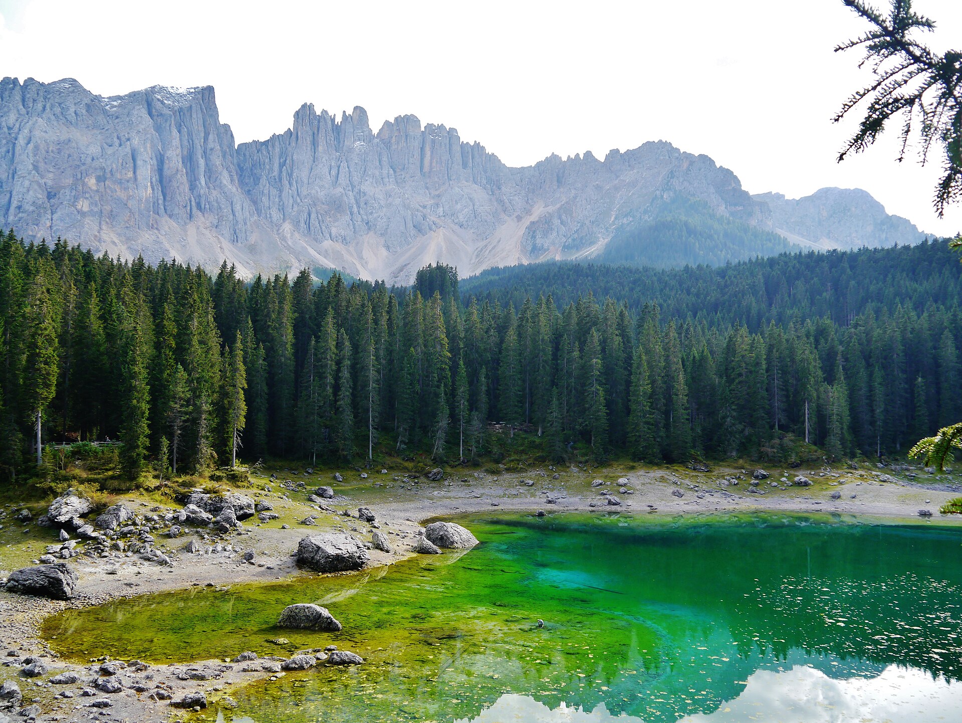 Lake Carezza surrounded by evergreen forest and the Dolomites